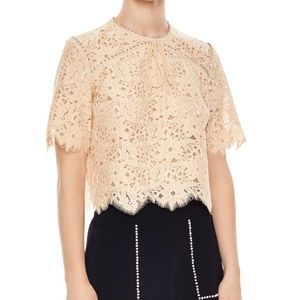 Sandro cropped lace & crystal top